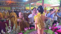 Trang nghiêm Đại lễ Phật đản PL.2566 của BTS GHPGVN huyện Đông Anh - Hà Nội